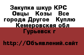 Закупка шкур КРС , Овцы , Козы - Все города Другое » Куплю   . Кемеровская обл.,Гурьевск г.